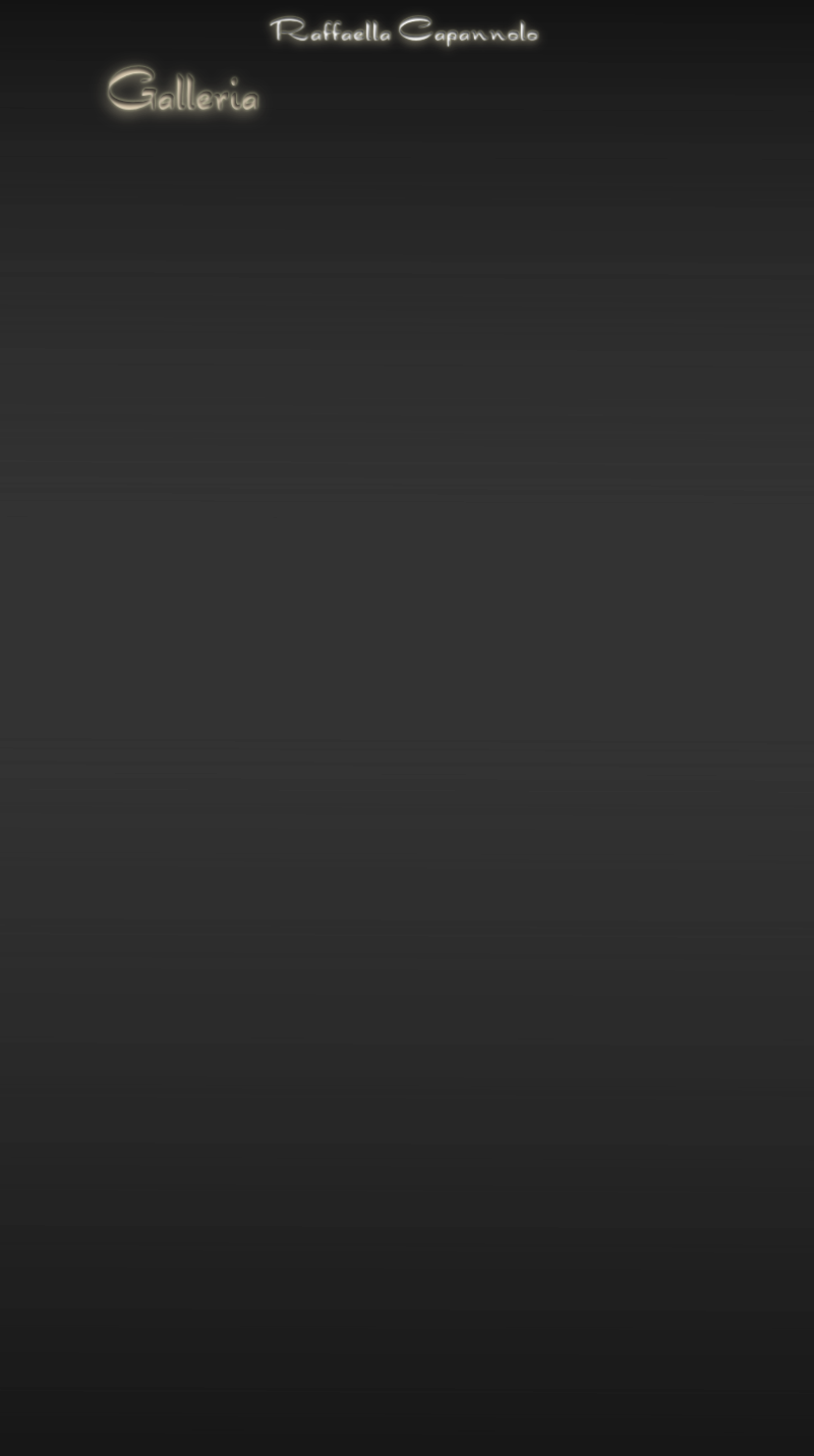 wp23ee488d.png