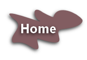 wp4f7cf5a0.png