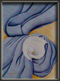 wp84d503e3_0f.jpg