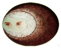 wpbbec8af9.png